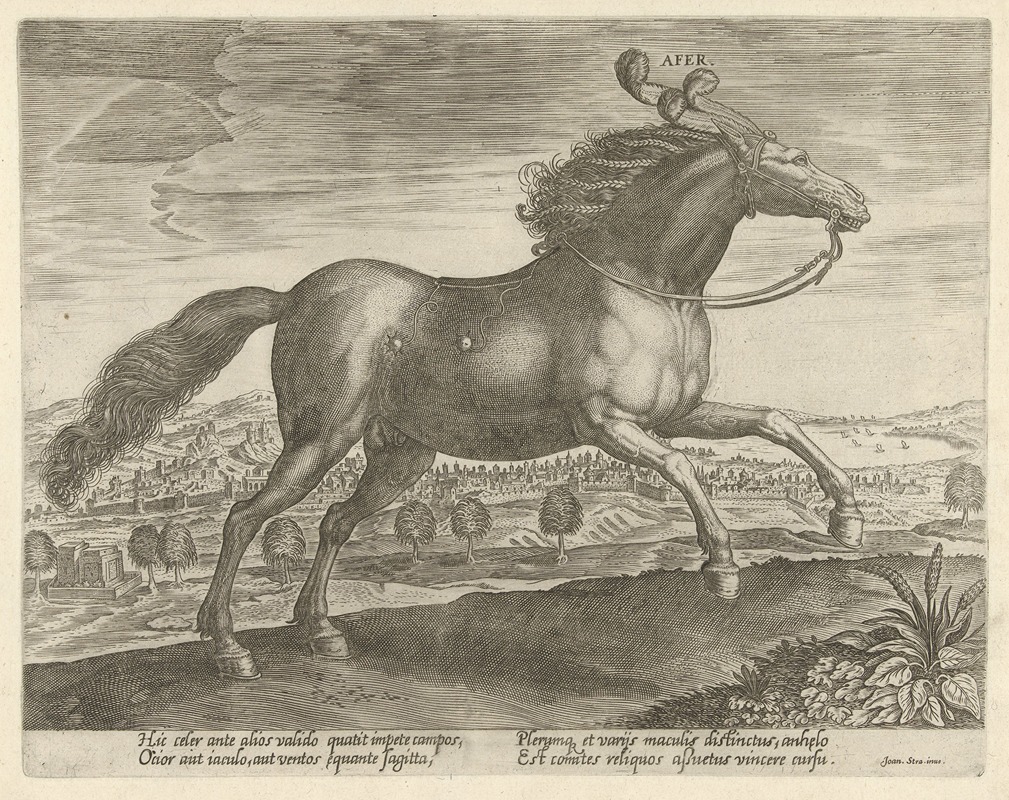 Jan Collaert the Elder - Afer