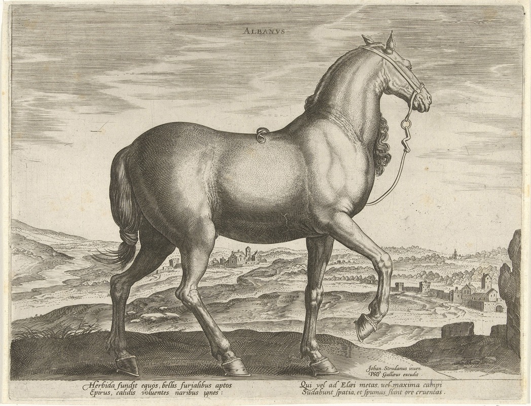 Jan Collaert the Elder - Albanus