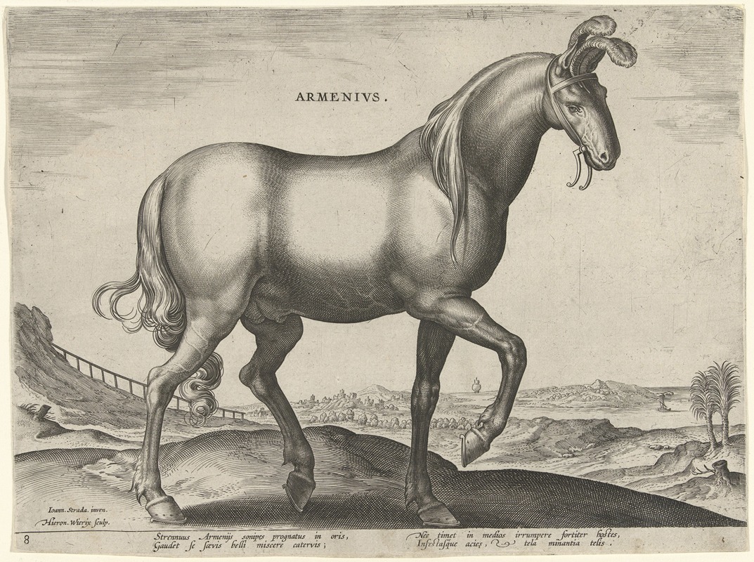 Jan Collaert the Elder - Armenius.