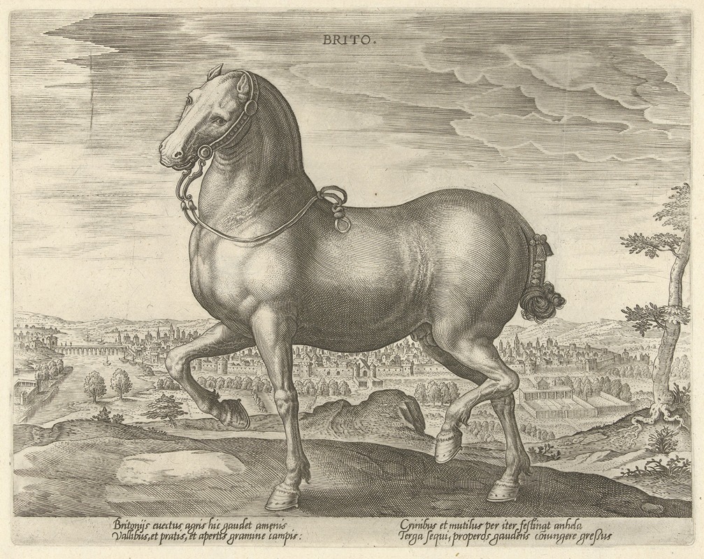 Jan Collaert the Elder - Brito