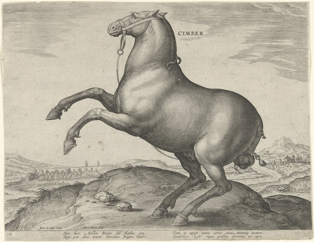 Jan Collaert the Elder - Cimber.