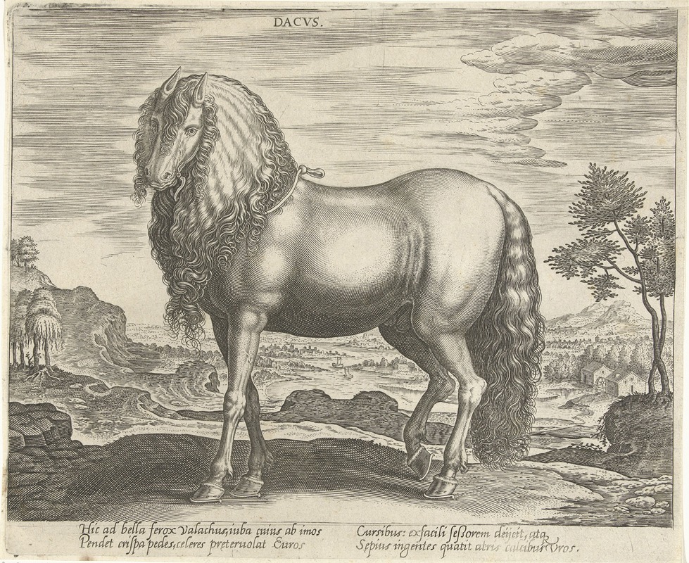 Jan Collaert the Elder - Dacus