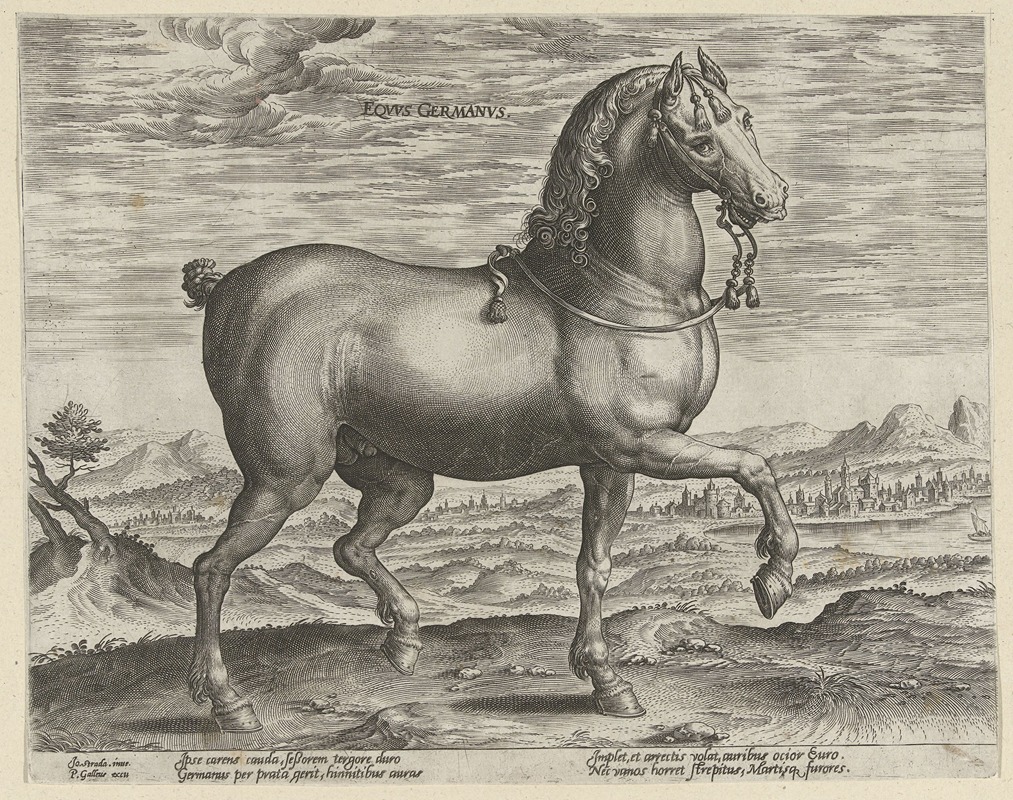 Jan Collaert the Elder - Equus Germanus