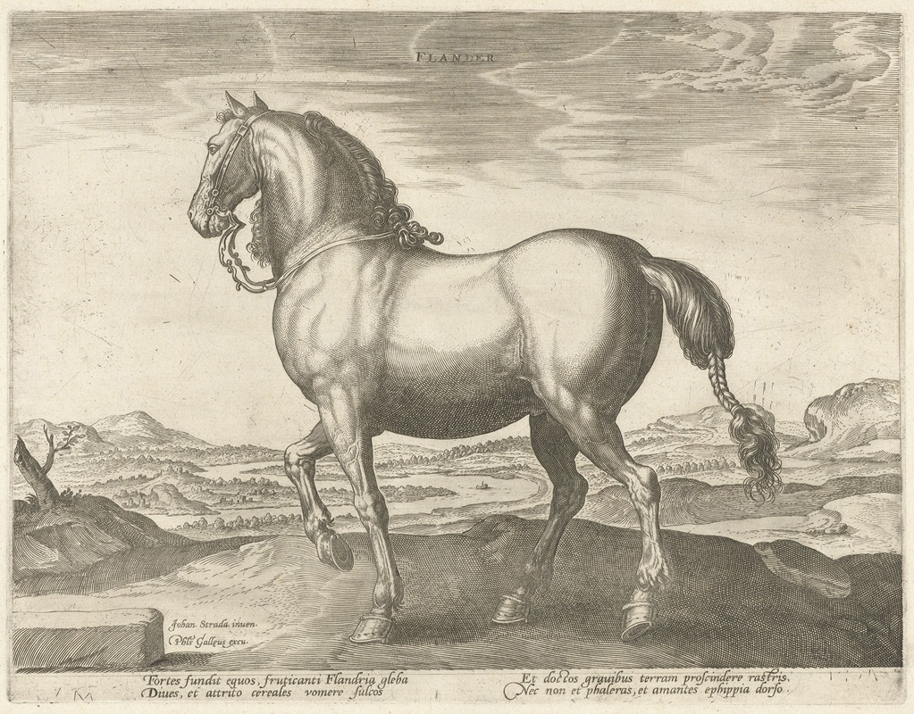 Jan Collaert the Elder - Flander