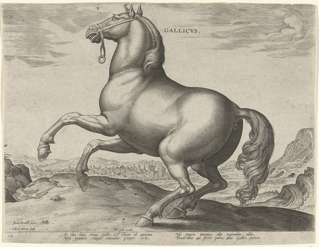 Jan Collaert the Elder - Gallicus.