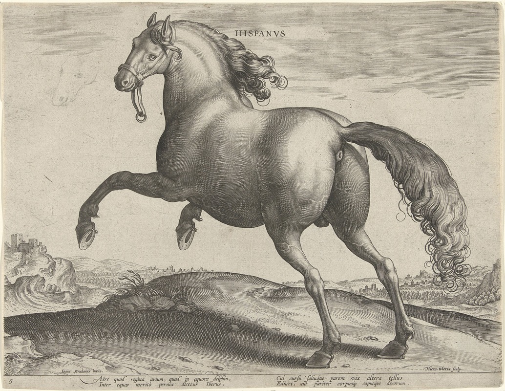 Jan Collaert the Elder - Hispanus.