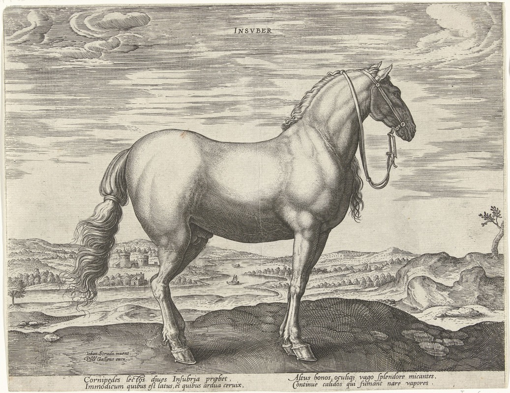 Jan Collaert the Elder - Insuber.