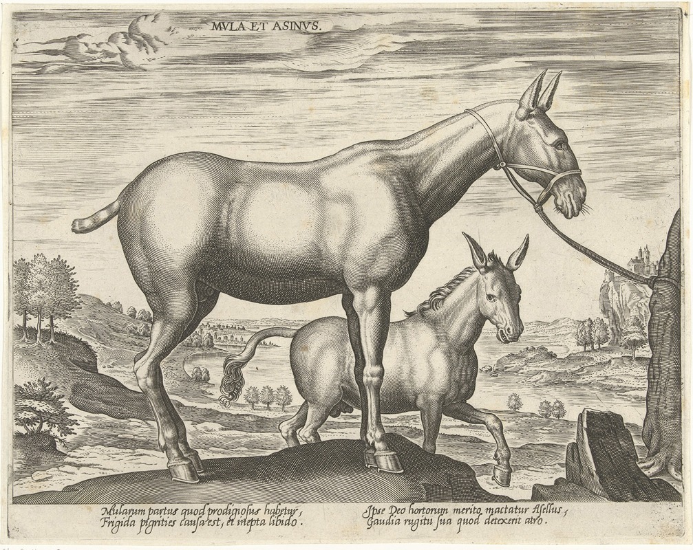 Jan Collaert the Elder - Mula et Asinus.