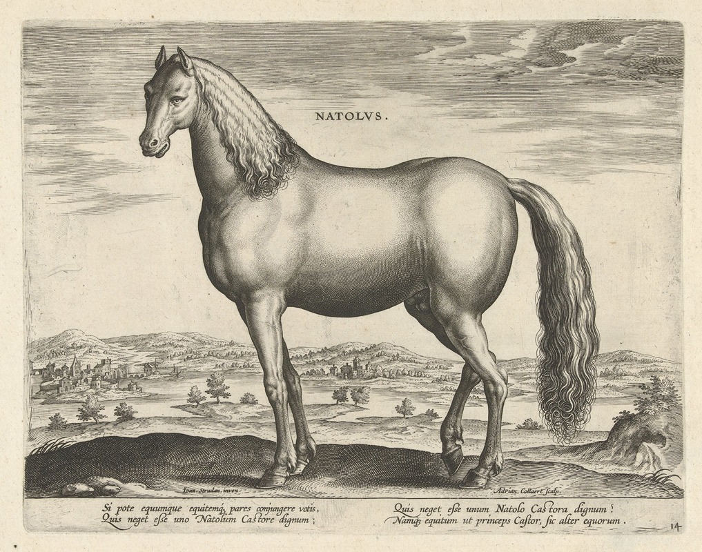 Jan Collaert the Elder - Natolus.