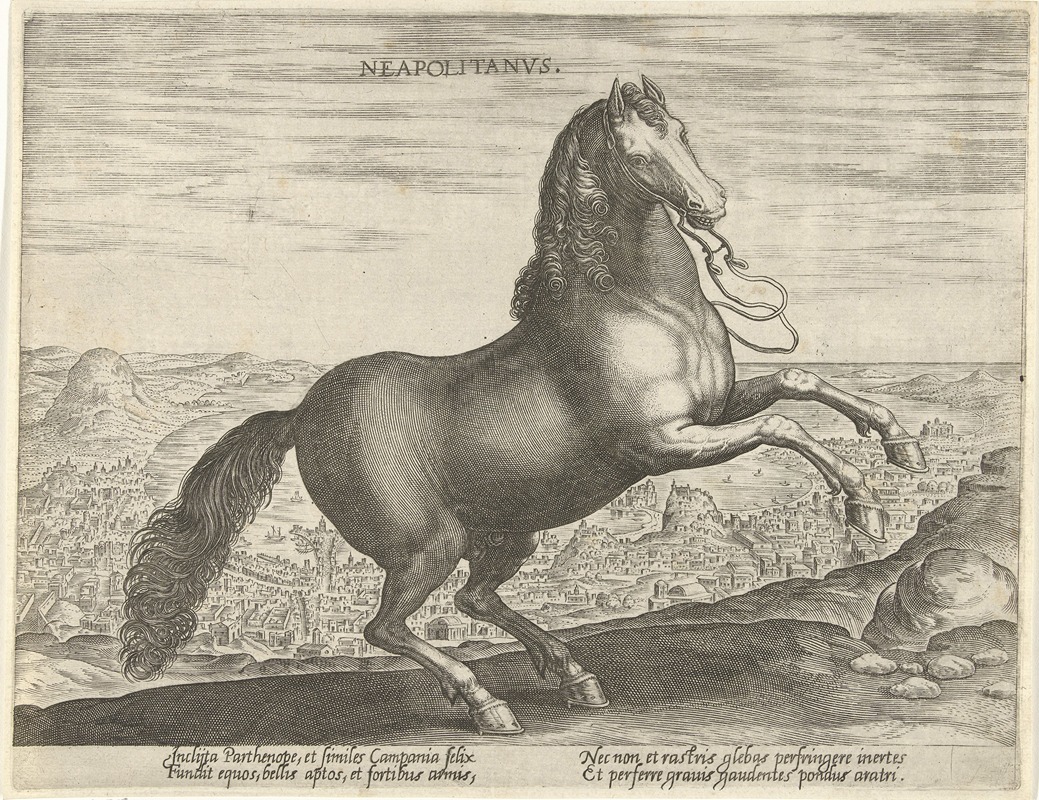 Jan Collaert the Elder - Neapolitanus.