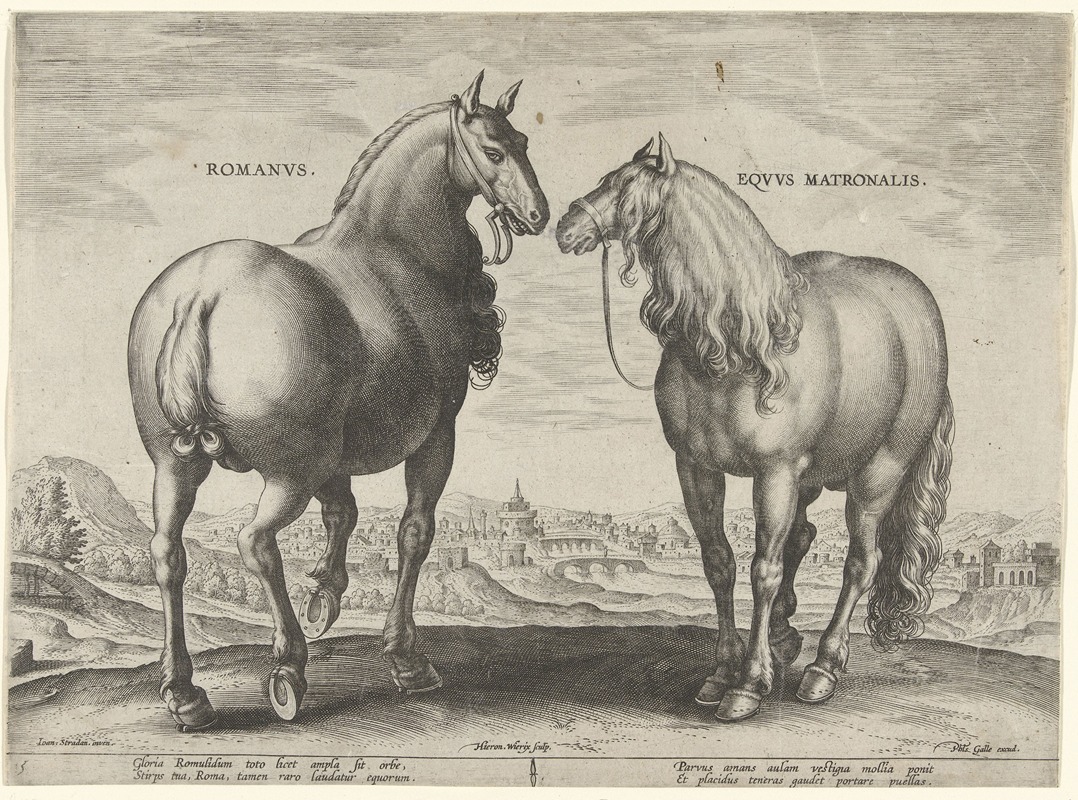 Jan Collaert the Elder - Romanus, Equus Matronalis