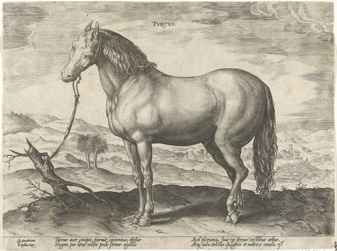 Jan Collaert the Elder - Tvrcus