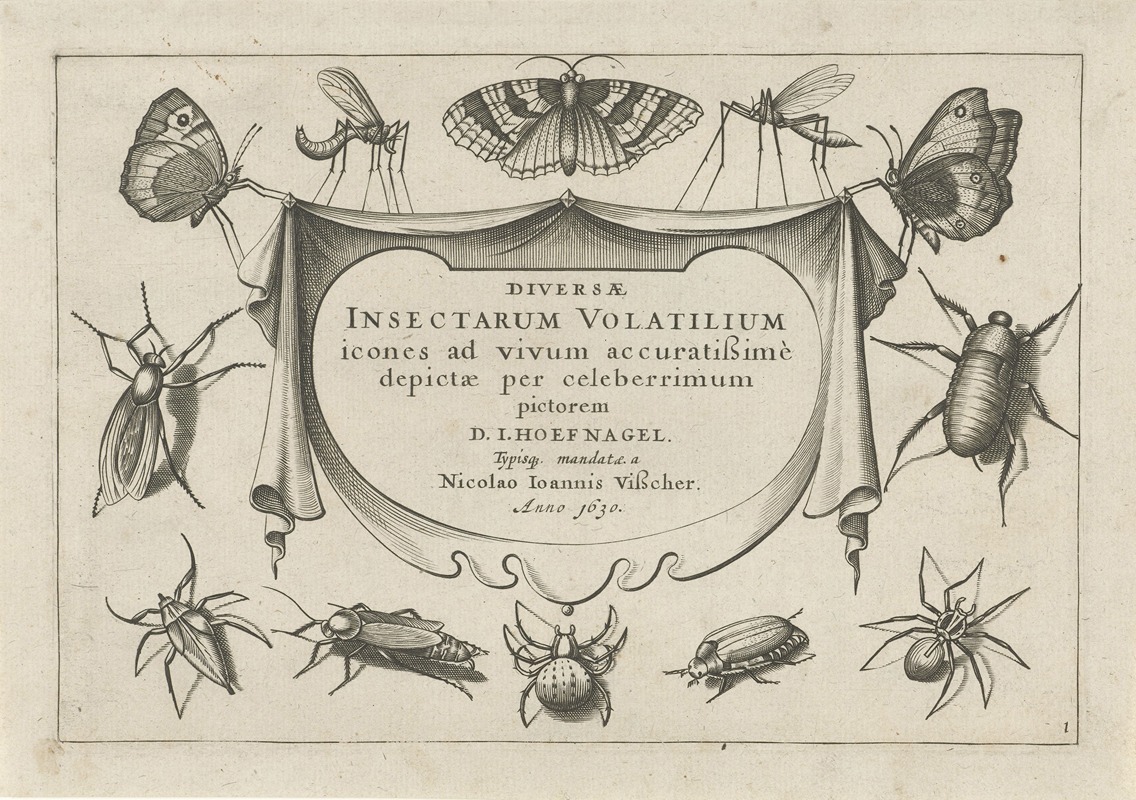 Jacob Hoefnagel - Diversae Insectarum Volatilium Pl.01
