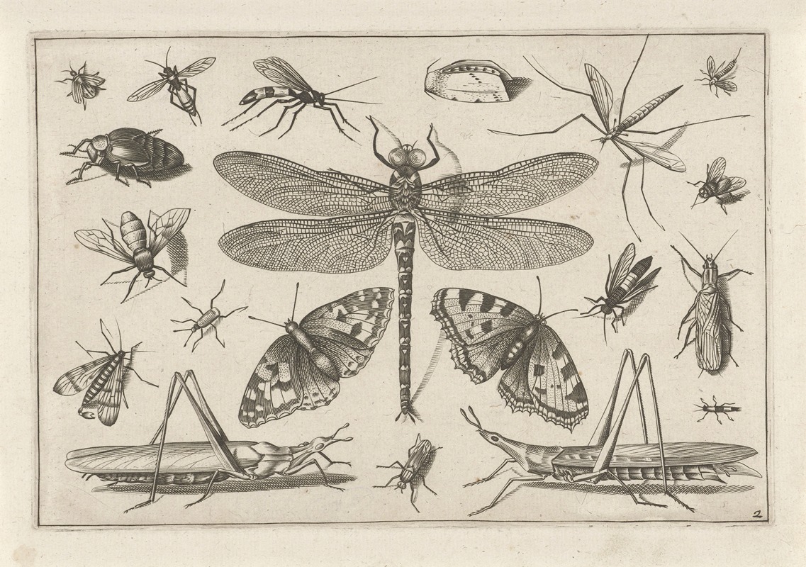 Jacob Hoefnagel - Diversae Insectarum Volatilium Pl.02