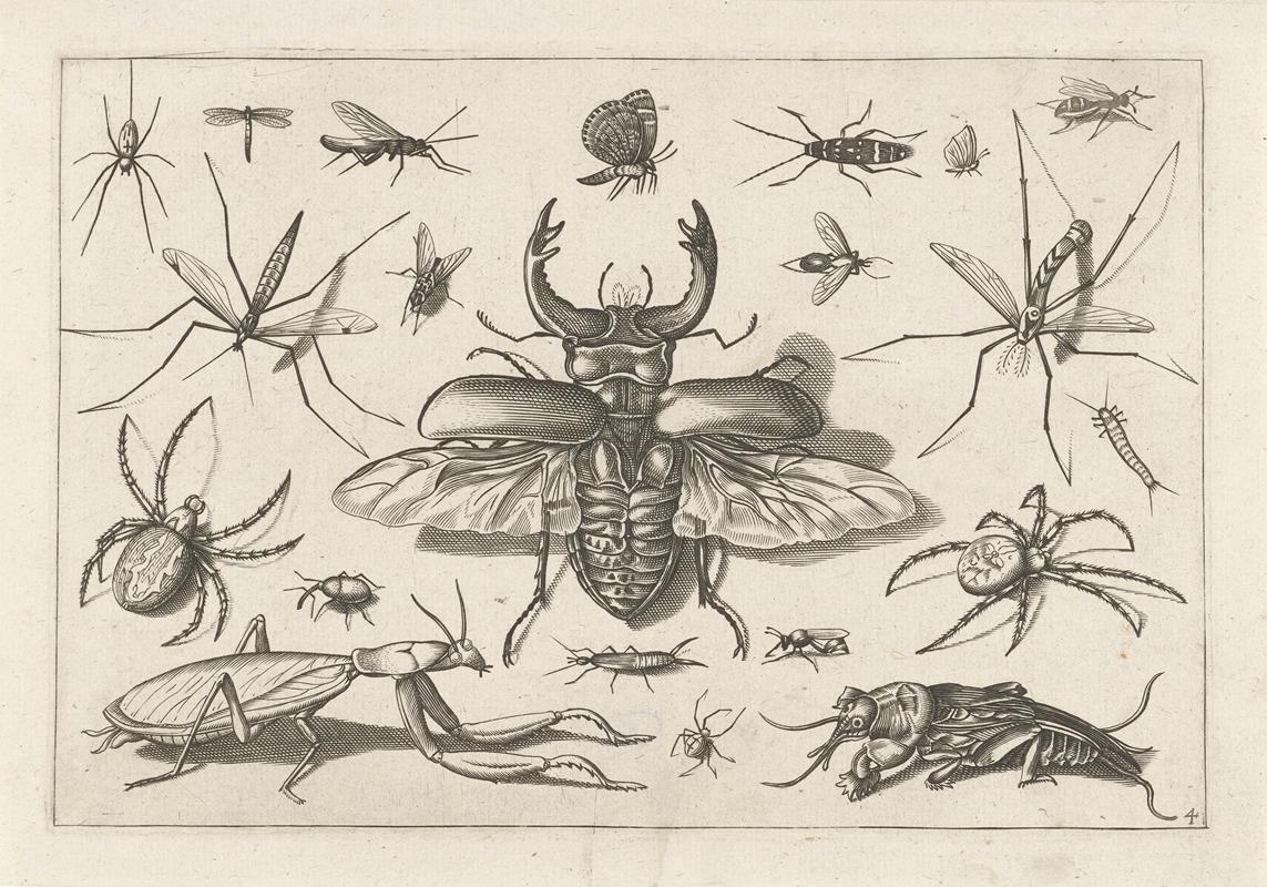 Jacob Hoefnagel - Diversae Insectarum Volatilium Pl.04