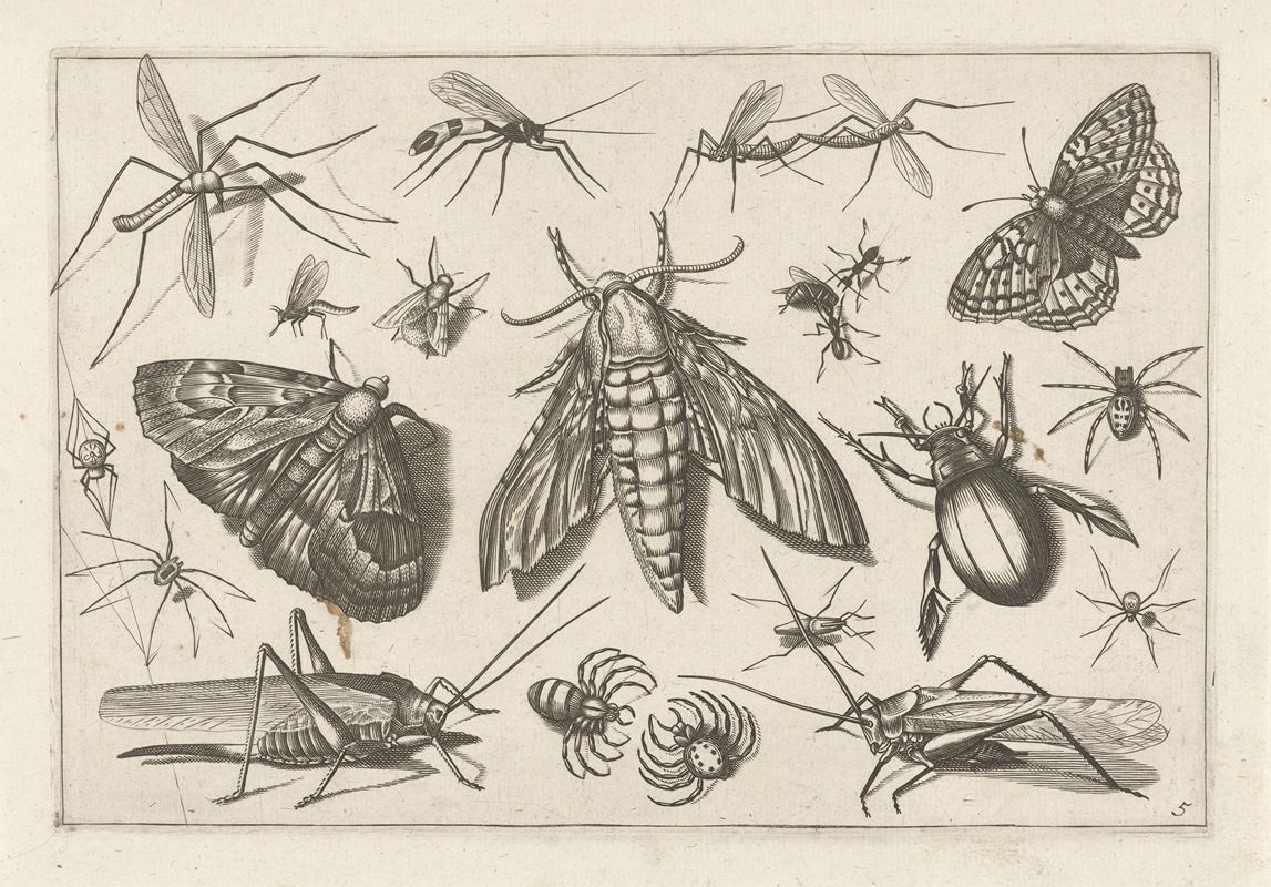 Jacob Hoefnagel - Diversae Insectarum Volatilium Pl.05