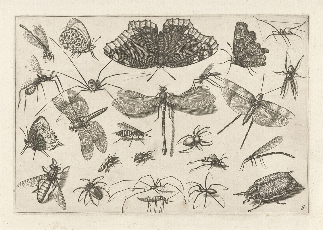 Jacob Hoefnagel - Diversae Insectarum Volatilium Pl.06