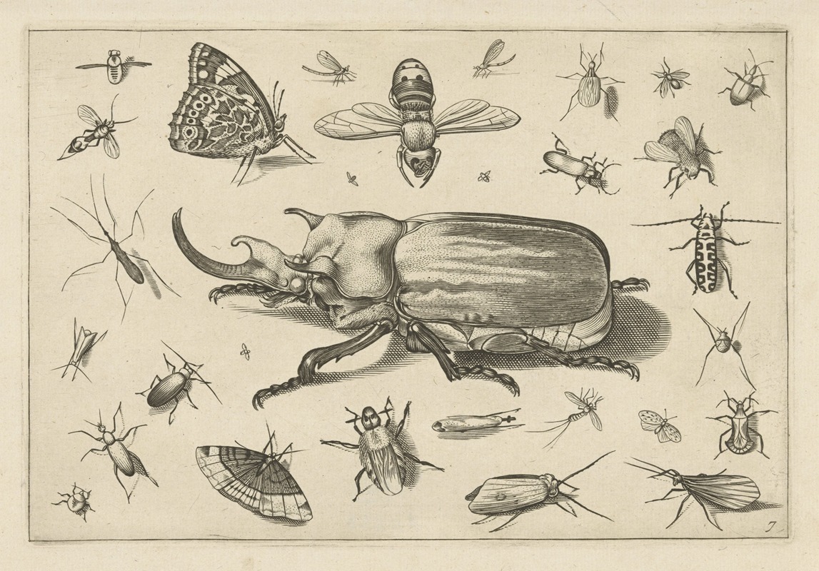 Jacob Hoefnagel - Diversae Insectarum Volatilium Pl.07