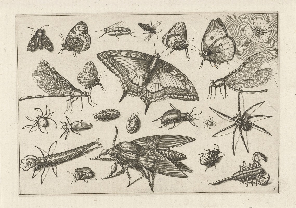Jacob Hoefnagel - Diversae Insectarum Volatilium Pl.09