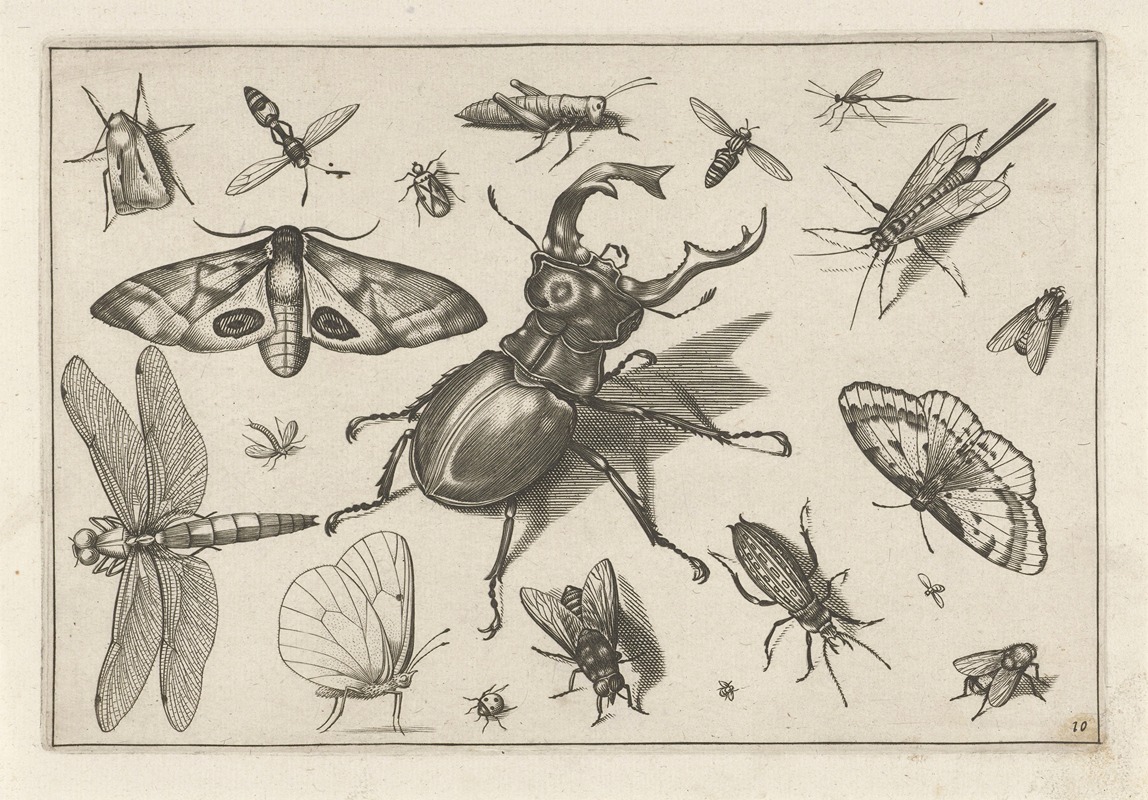 Jacob Hoefnagel - Diversae Insectarum Volatilium Pl.10