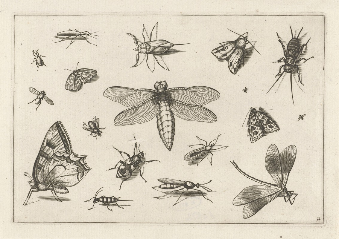 Jacob Hoefnagel - Diversae Insectarum Volatilium Pl.11