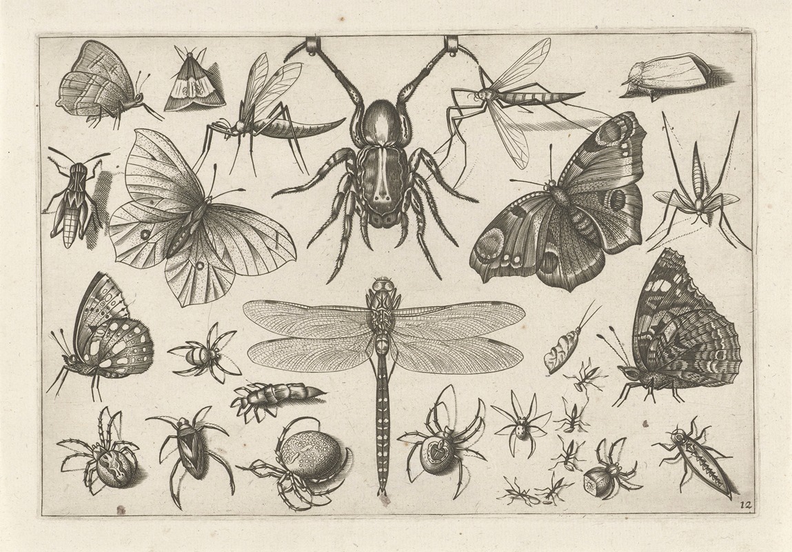 Jacob Hoefnagel - Diversae Insectarum Volatilium Pl.12
