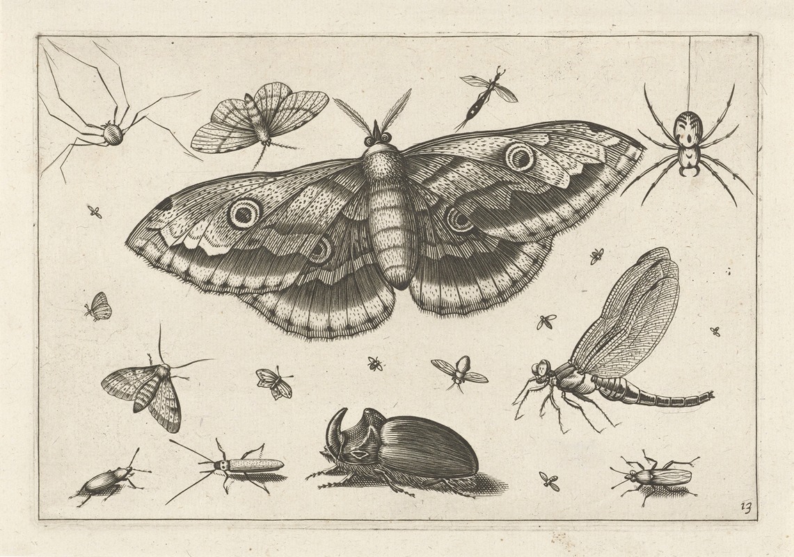 Jacob Hoefnagel - Diversae Insectarum Volatilium Pl.13