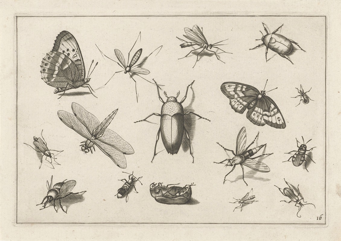 Jacob Hoefnagel - Diversae Insectarum Volatilium Pl.16