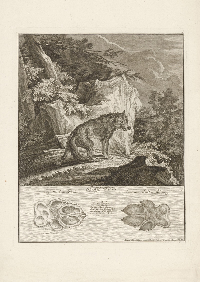 Johann Elias Ridinger - Wolf with tracks