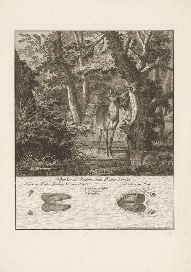 Johann Elias Ridinger - Roe deer with tracks