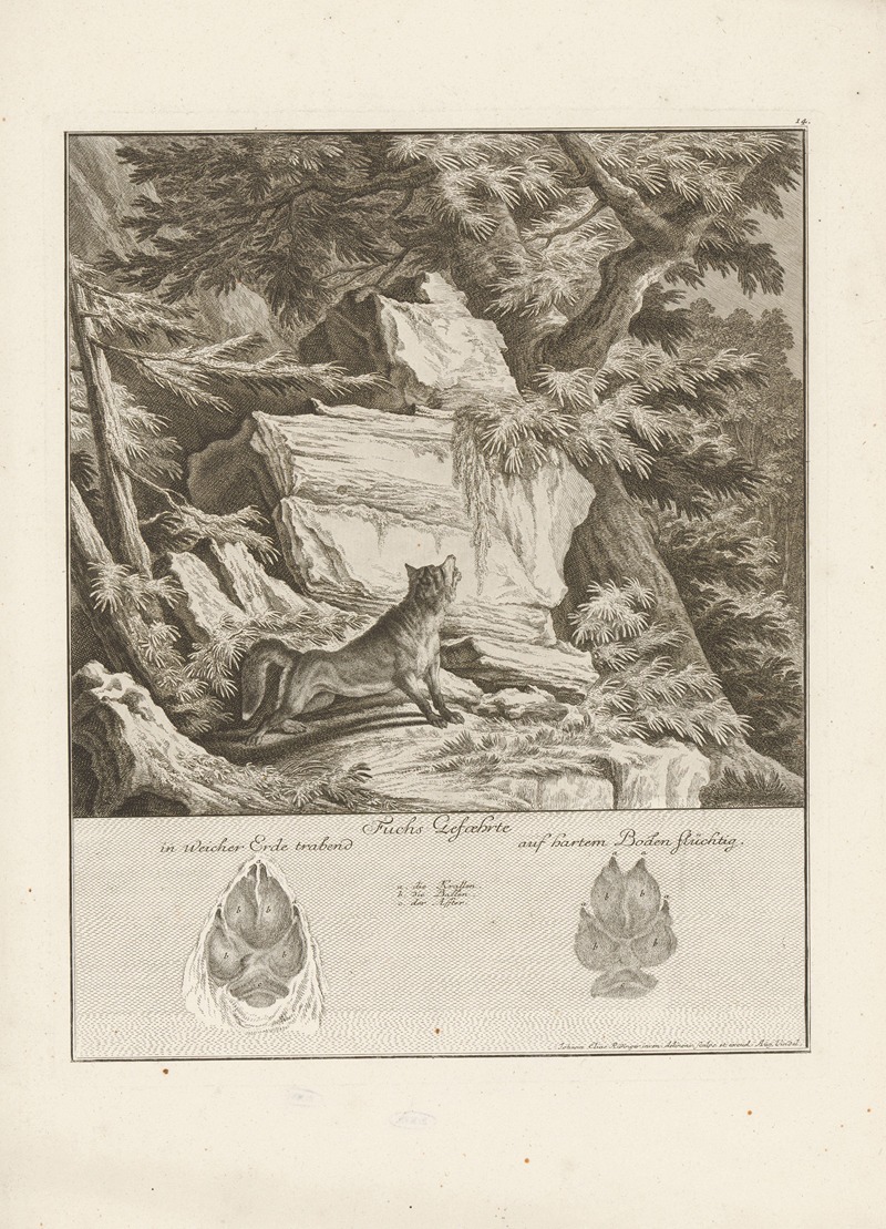 Johann Elias Ridinger - Fox with tracks