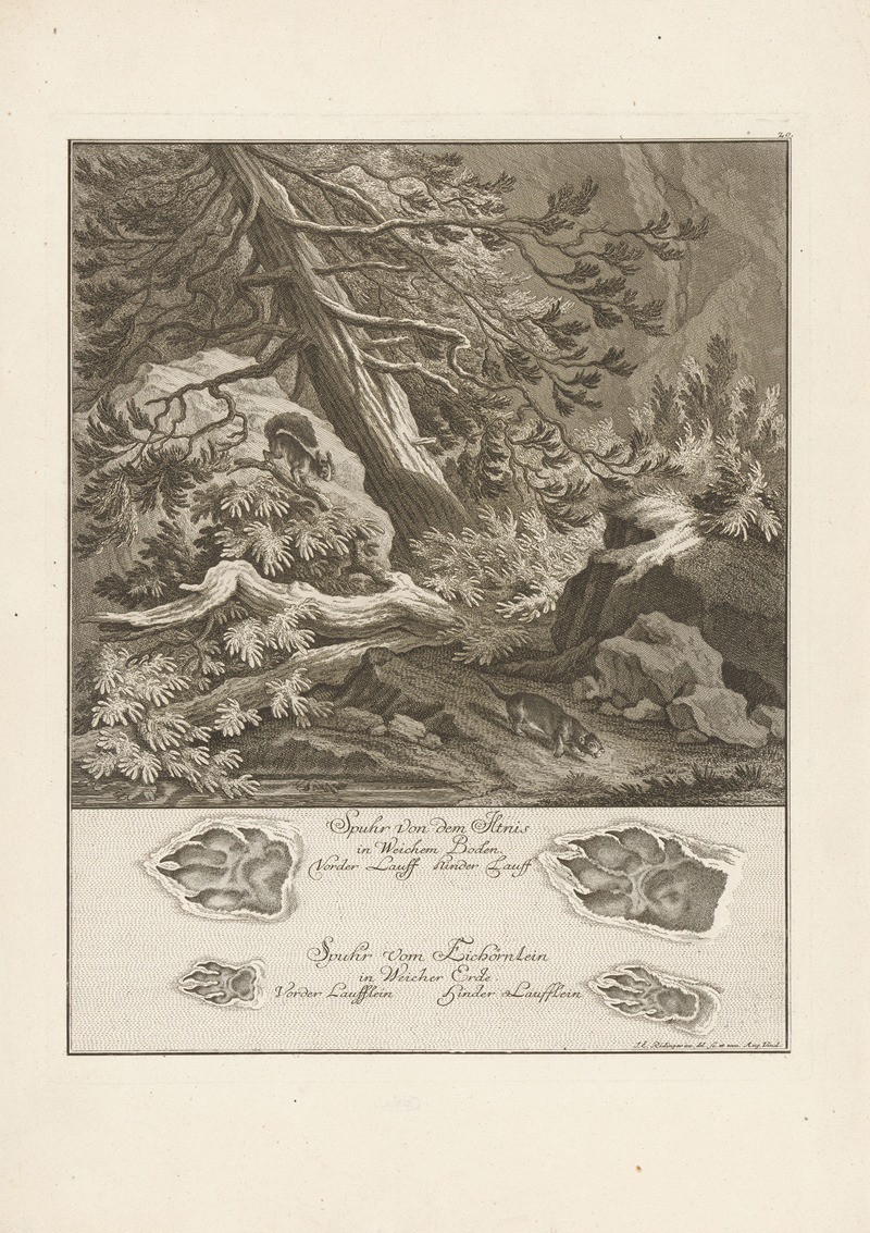 Johann Elias Ridinger - Skunk and squirrel