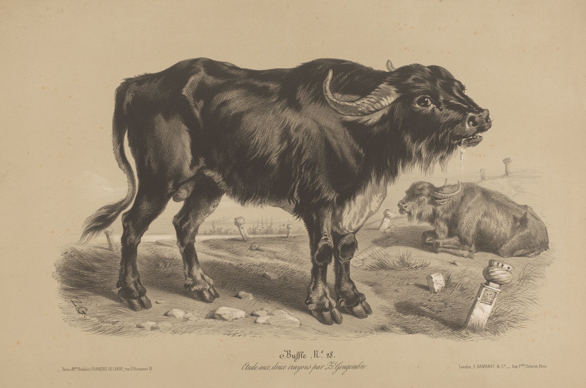 Joseph Zephyris Gengembre - Buffle