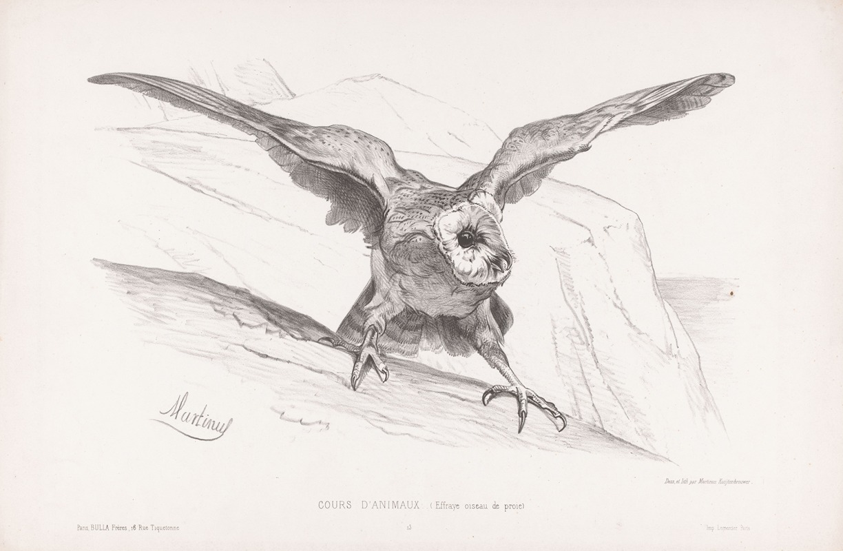 Martinus Antonius Kuytenbrouwer jr. - Effraye oiseau de proie