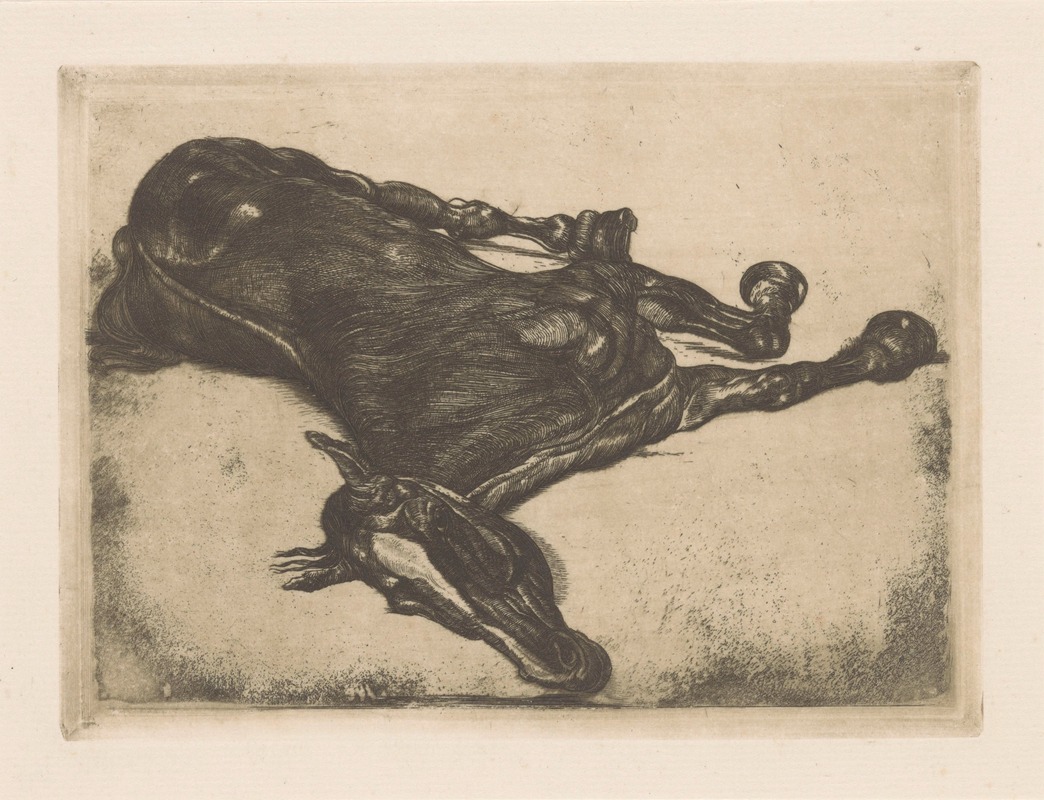 Pieter Dupont - Dood paard