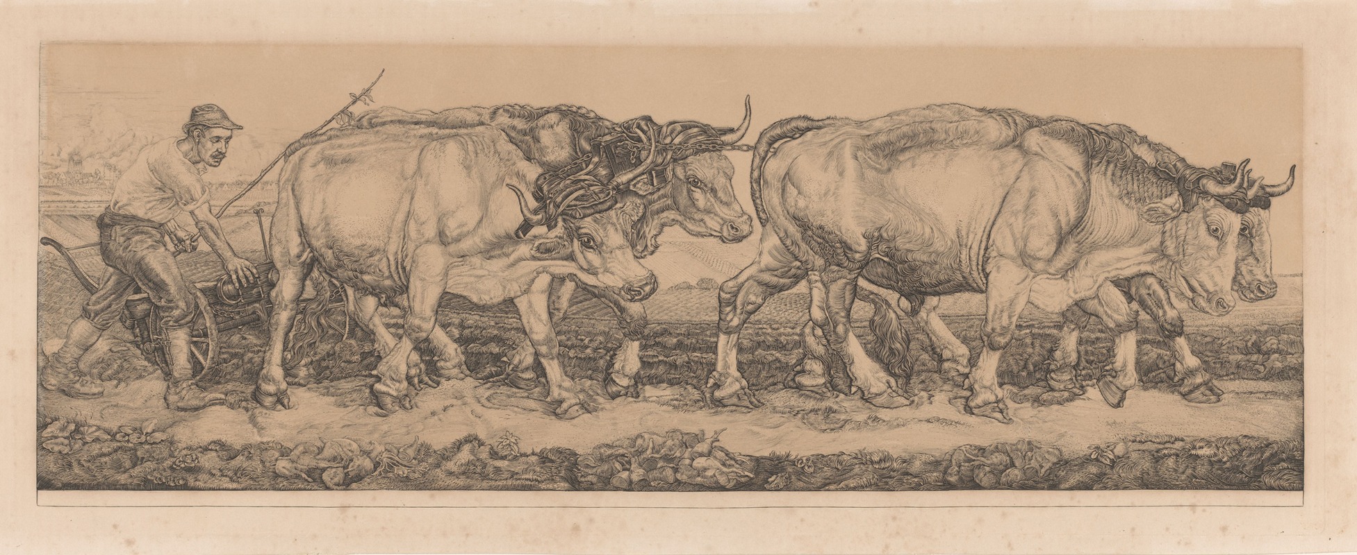Pieter Dupont - Ploegende ossen