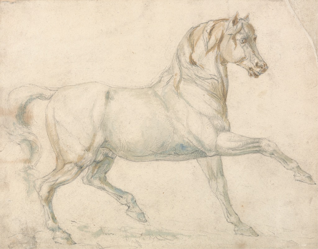 William Sawrey Gilpin - An Arabian Stallion Walking to Right
