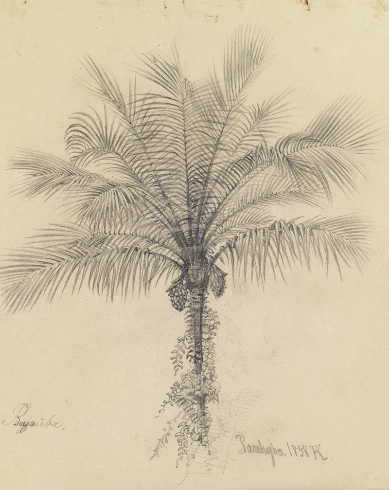 Ferdinand Keller - Palmstudie II