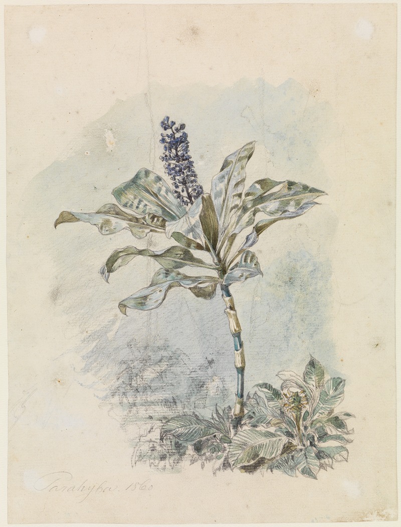 Ferdinand Keller - Strauch mit blauer Blütendolde