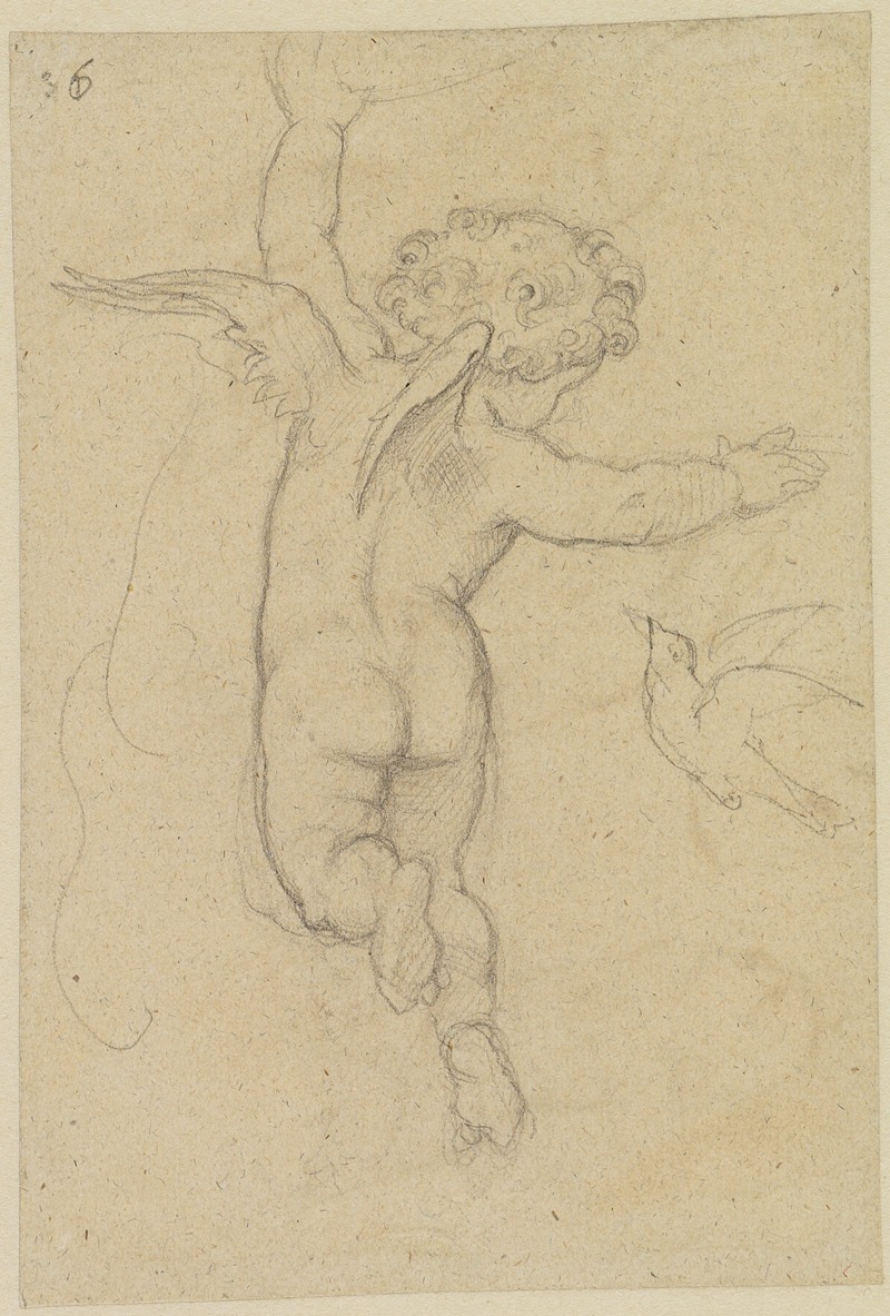 Moritz von Schwind - Putto mit Vogel, vom Rücken gesehen, mit ausgebreiteten Armen, senkrecht auffliegend