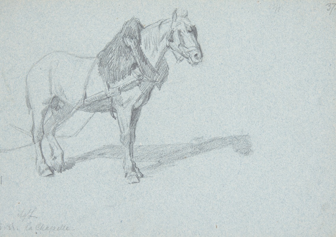 Agnes Lunn - En hest