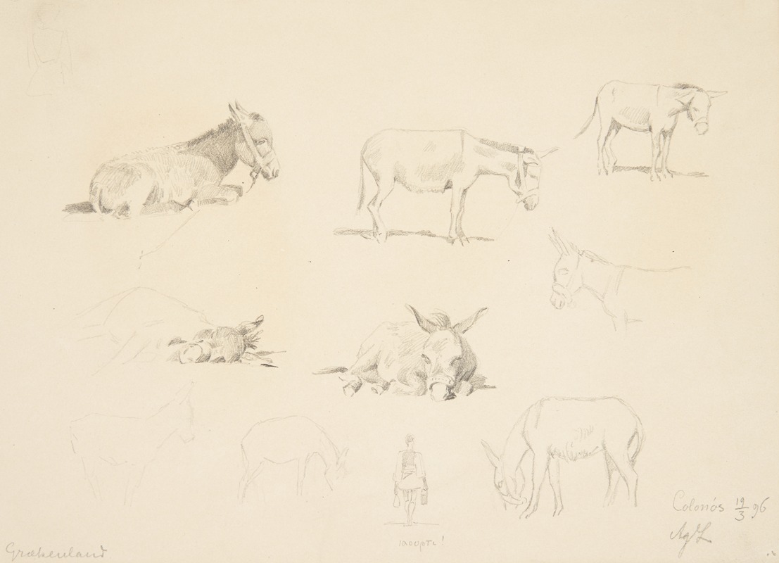 Agnes Lunn - Studieblad med dyr