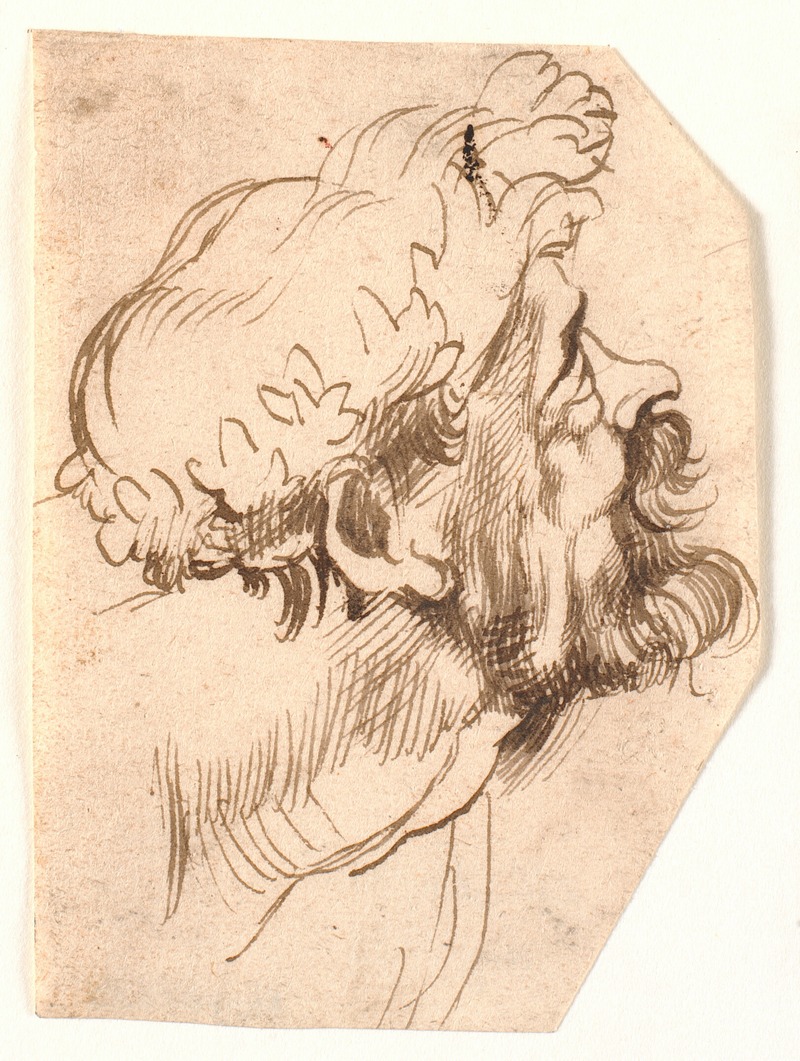 Anthony van Dyck - Head of a man