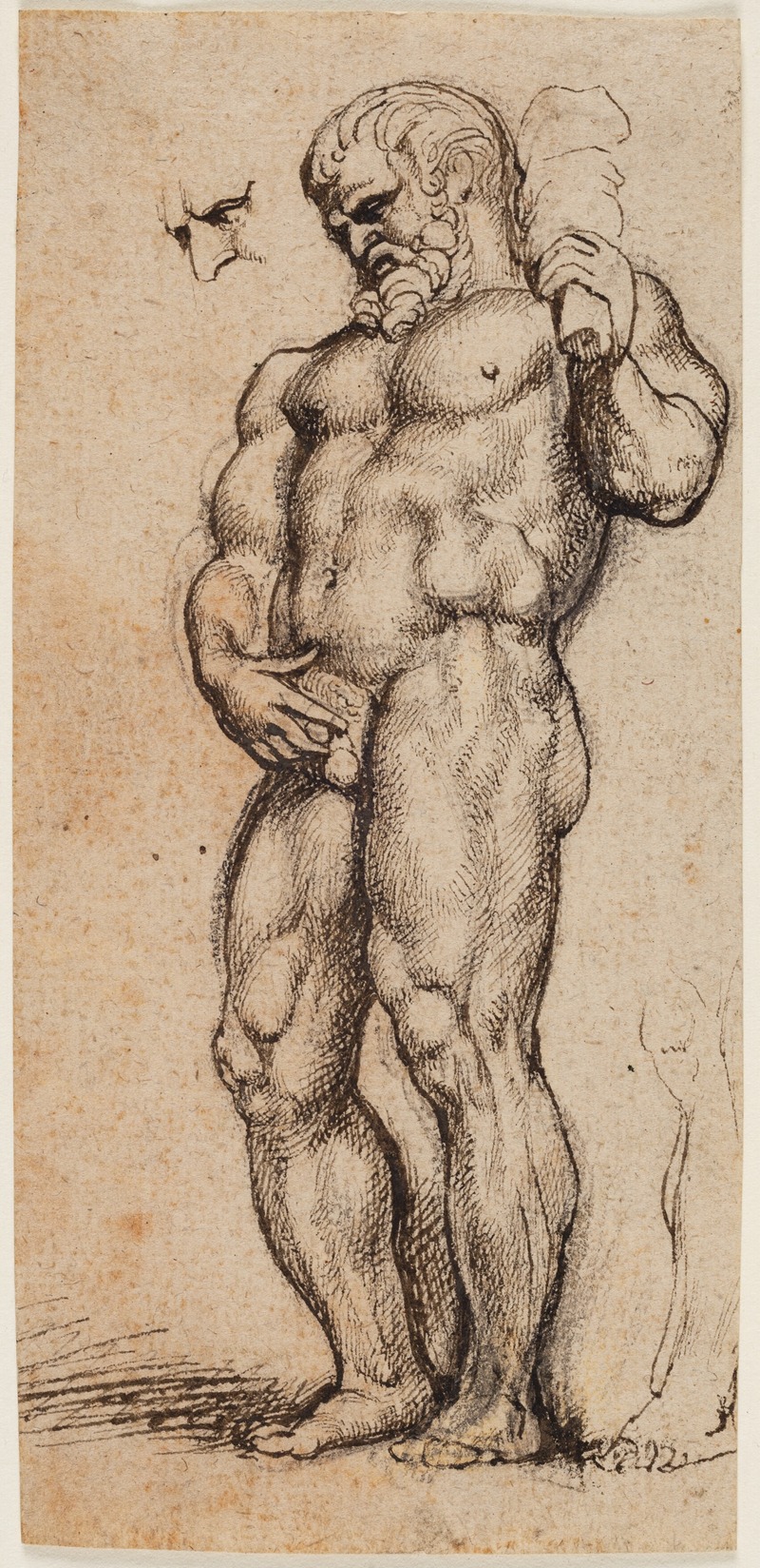 Anthony van Dyck - Hercules