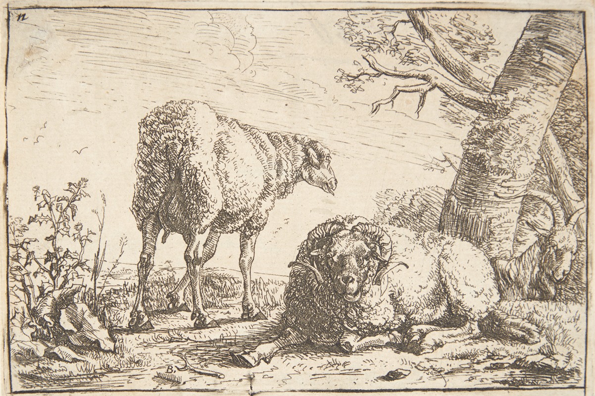 Barend Graat - Får, vædder og ged