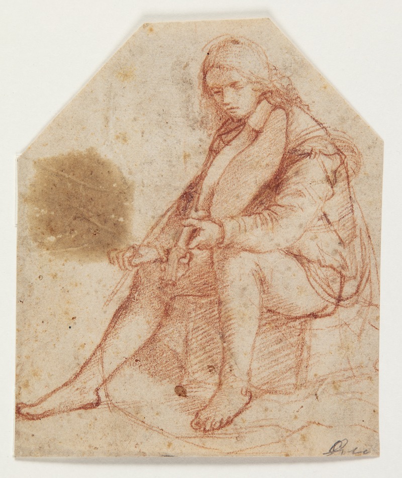 Bernardino Luini - Seated youth with viola