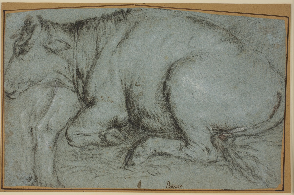 Carlo Caliari - Lying cow and study for the hind legs of a standing cow