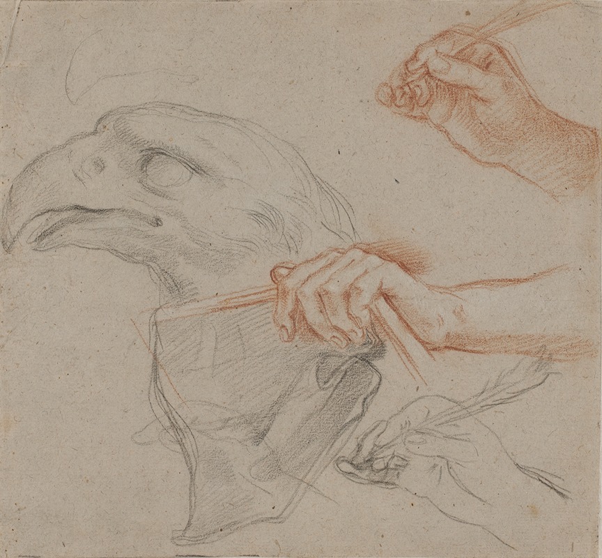 Carlo Maratti - Studie til et ørnehoved samt tre studier af hænder, hvoraf to holder en fjerpen og en holder en bog