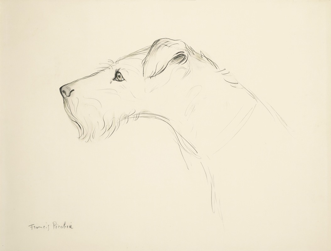 Francis Picabia - Chien de profil