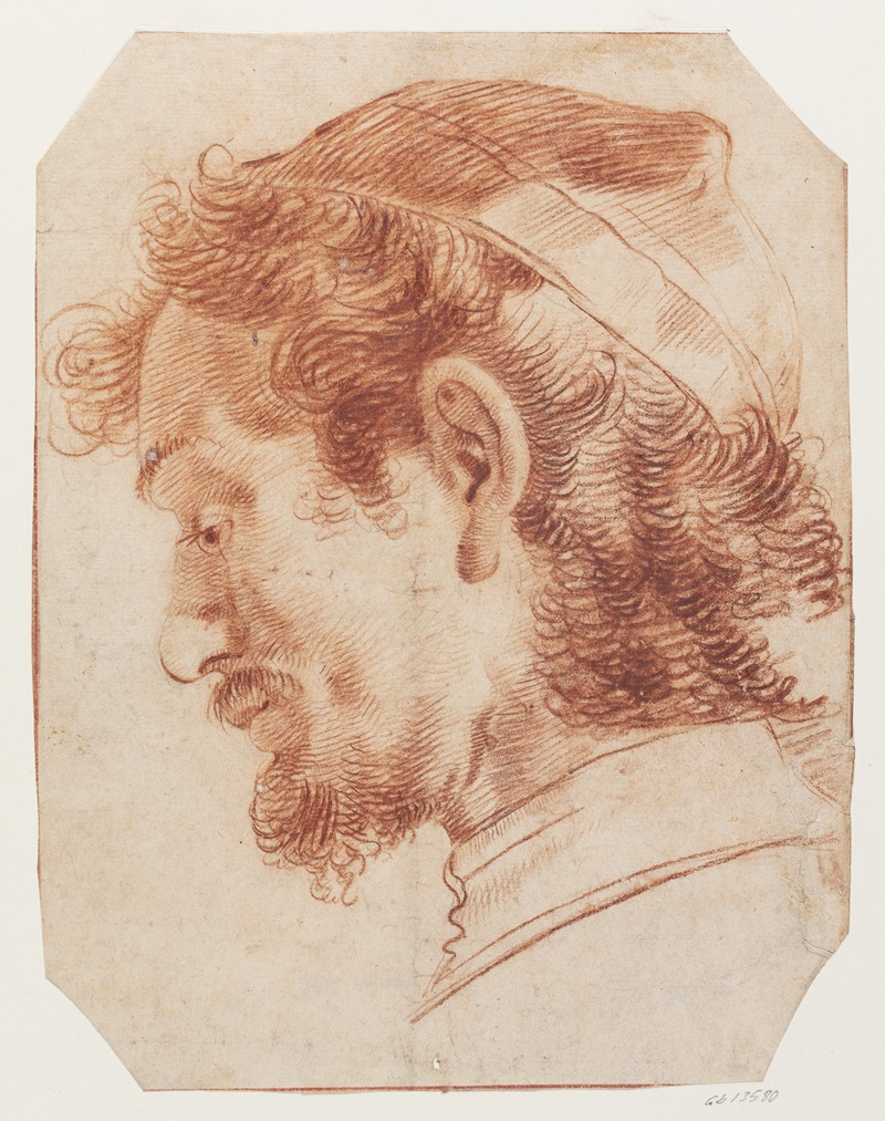 Giovanni Benedetto Castiglione - Skægget mandshoved i profil mod venstre
